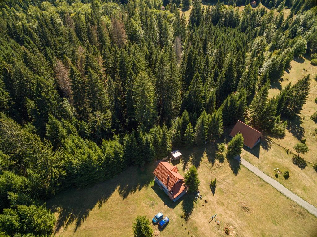 Vacation Home Miki Bajina Basta Eksteriør bilde